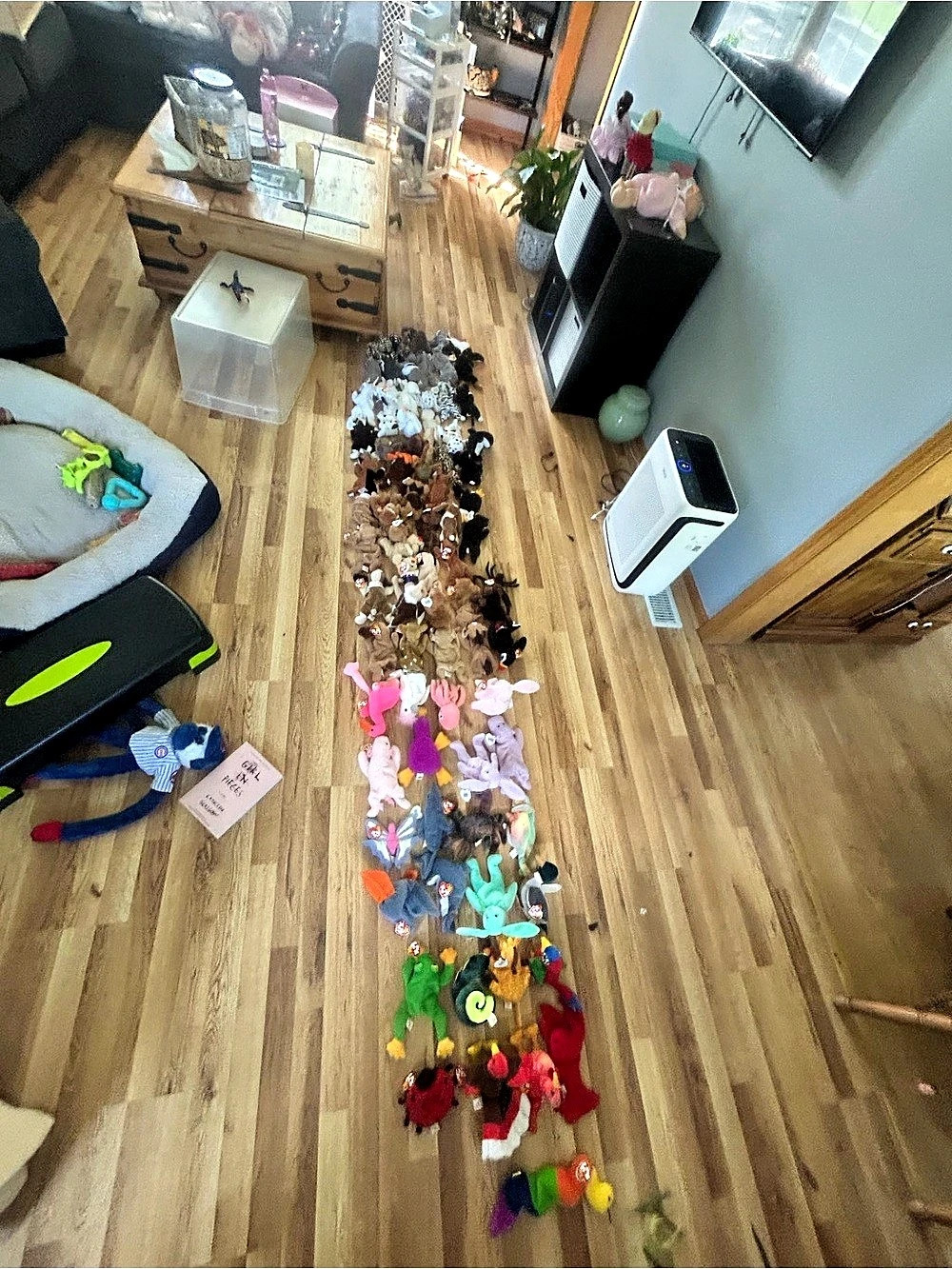 Assorted Stuffed Animals Multicolor - Picture 2 of 2